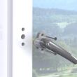 Siguranta pentru usi de balcon si ferestre, fara gaurire sau lipire, alba, Reer WinLock 70010