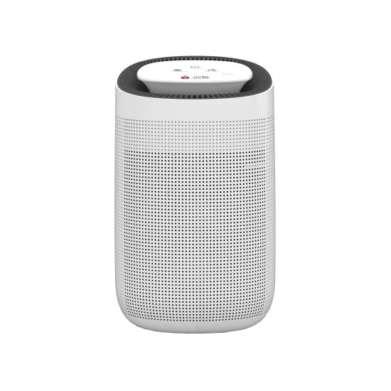 Dezumidificator si purificator de aer Airbi SPONGE BI2000